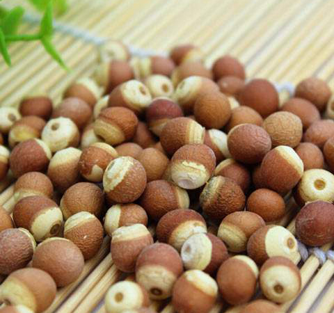補(bǔ)脾止泄 芡實(shí)的作用與功效及吃法介紹