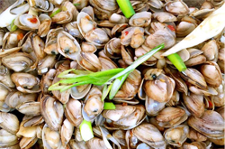 滋陰化痰 海瓜子的營養(yǎng)價(jià)值和功效介紹