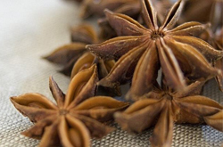 溫補(bǔ)腎陽 大茴香的功效與作用及副作用介紹