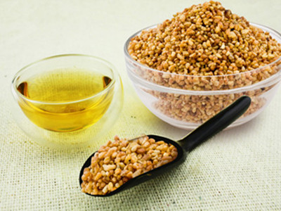 什么是黑苦蕎茶？黑苦蕎茶的功效與作用