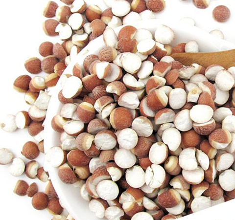 補(bǔ)脾止泄 芡實(shí)的作用與功效及吃法介紹