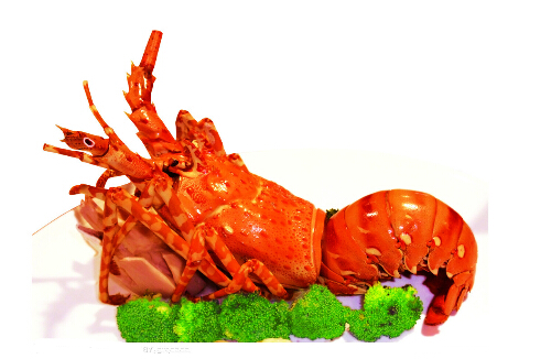 龍蝦怎么吃 蝦的營養(yǎng)價值和食用方法