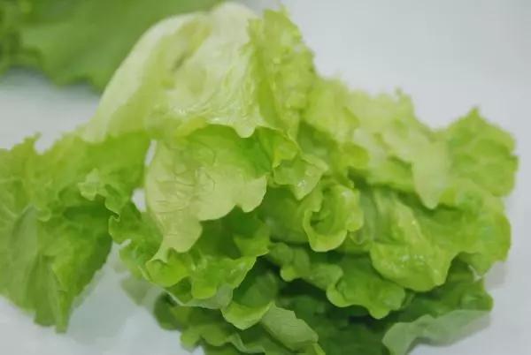 生菜的營(yíng)養(yǎng)價(jià)值和藥用價(jià)值的詳解介紹