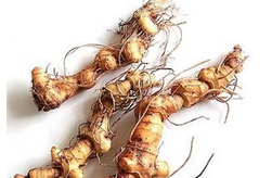 黃精的功效與作用  9種常見的作用