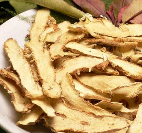 生津潤(rùn)燥 知母的作用與功效及常用配伍介紹