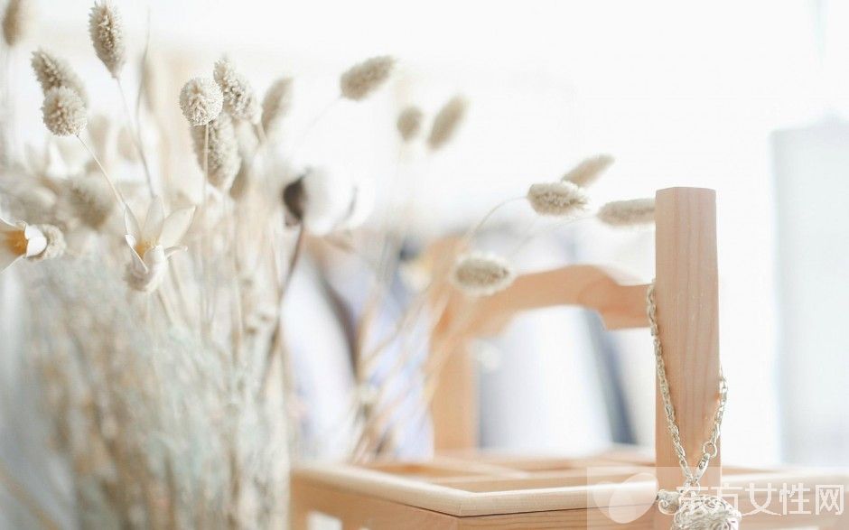 螨蟲是什么東西 4妙招有效去除家居螨蟲