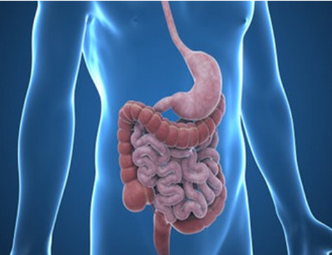 教你懂得腸粘連癥狀及其治療方法