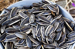 預防貧血 葵花籽的功效與作用及禁忌介紹