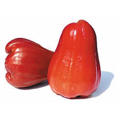 蓮霧怎么吃及其食用價值