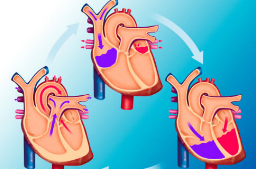 血液循環(huán)不好的癥狀 看完您就明白了