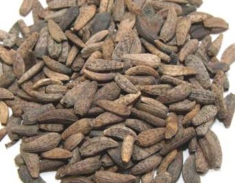 又一神奇的中藥--牛蒡子的功效與作用