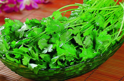 和胃調(diào)中 香菜的營(yíng)養(yǎng)價(jià)值和功效介紹