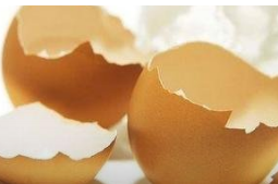 雞蛋殼有什么用處  你懂得多少