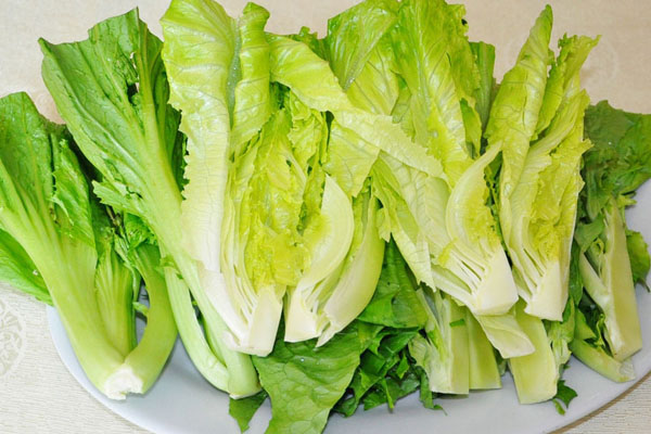 生菜的營(yíng)養(yǎng)價(jià)值和藥用價(jià)值的詳解介紹