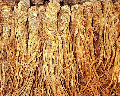 滋陰補(bǔ)腎的食物有哪些 這10個(gè)食物高效又便宜