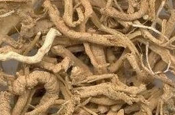 遠(yuǎn)志的作用與功效及其食療方法