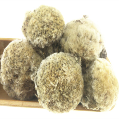 雪蓮花泡酒的方法  學(xué)會(huì)了嗎