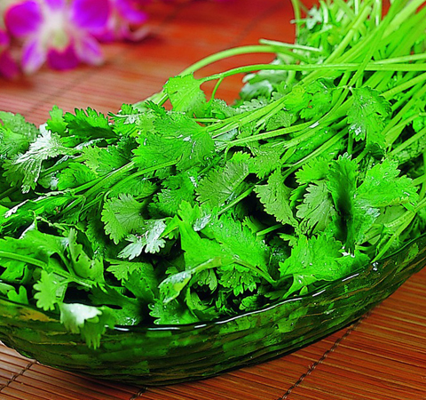 和胃調(diào)中 香菜的營(yíng)養(yǎng)價(jià)值和功效介紹