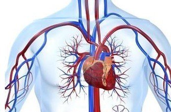 手腳發(fā)涼的注意啦，血液循環(huán)不好怎么辦