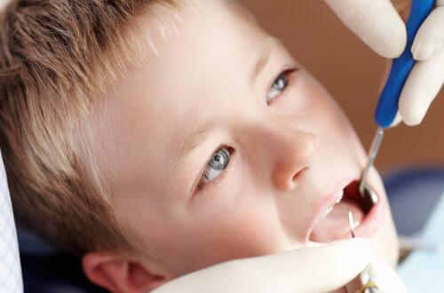 長智齒     長智齒的相關(guān)事項(xiàng)