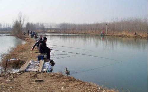 冬季快速讓魚兒上鉤的方法 冬季釣魚技巧