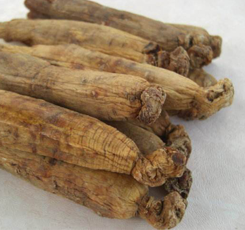 益智健腦 高麗參的作用與功效及吃法介紹