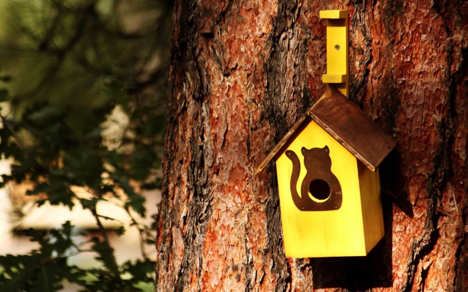 生活小竅門大全集 30個妙招簡單又食用