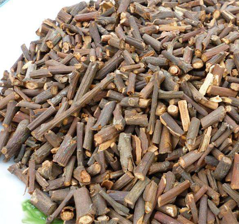 散寒解表 桂枝的功效與作用及選方介紹