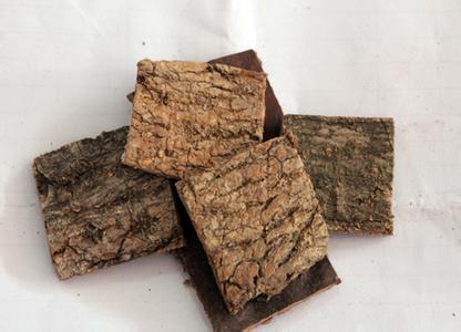 杜仲的作用與功效 具有補肝腎和強筋骨的效果