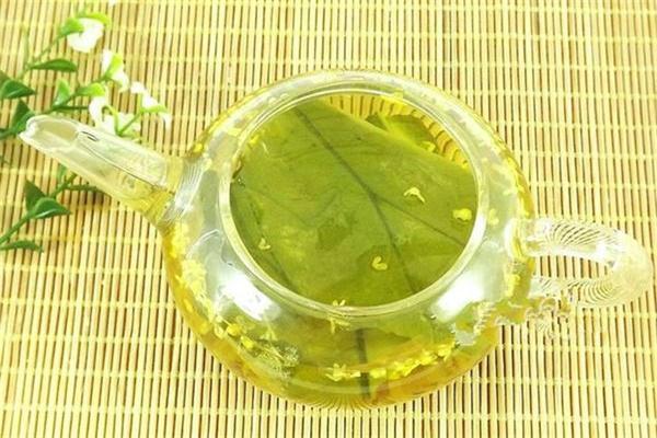 荷葉的功效與作用 荷葉茶可養(yǎng)生