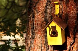 生活小竅門大全集 30個(gè)妙招簡單又食用