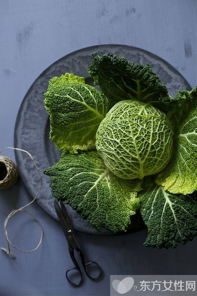 水果保鮮有妙法 每天都能吃到新鮮蔬菜