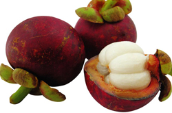 清熱降火 山竹的功效與作用和吃法介紹