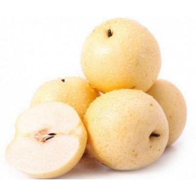 清肺潤(rùn)肺食療方法 你懂得多少