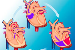 血液循環(huán)不好的癥狀 看完您就明白了