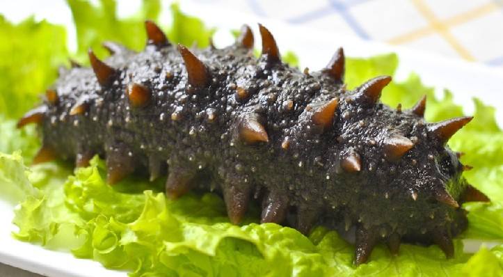 海參的功效有著意想不到的好處