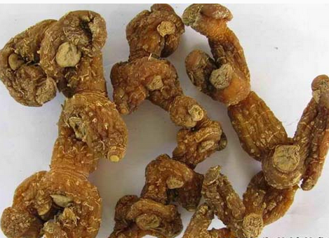 黃精的功效與作用  9種常見的作用