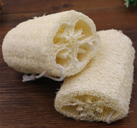 清熱化痰 絲瓜絡(luò)的功效與作用介紹