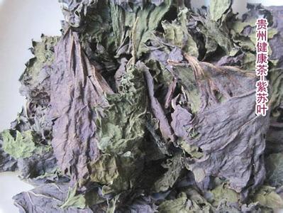 紫蘇葉的功效與作用 可治療多種疾病