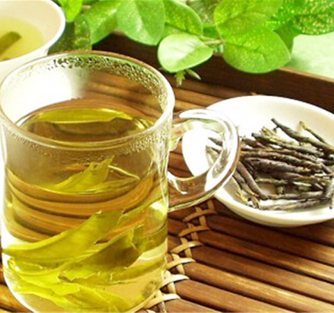 清熱消暑 苦丁茶的功效和副作用介紹