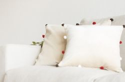 螨蟲是什么東西 4妙招有效去除家居螨蟲