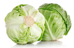 提高人體免疫力 包菜的營養(yǎng)價(jià)值和禁忌介紹