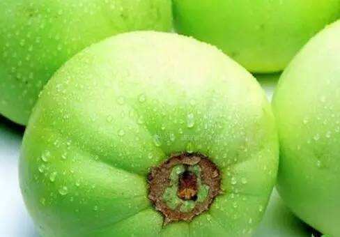 甜瓜主要種類及甜瓜的營養(yǎng)價值介紹