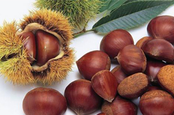 益氣健脾 板栗的營(yíng)養(yǎng)價(jià)值和功效介紹