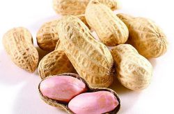 花生的功效與作用，全方位為你講解