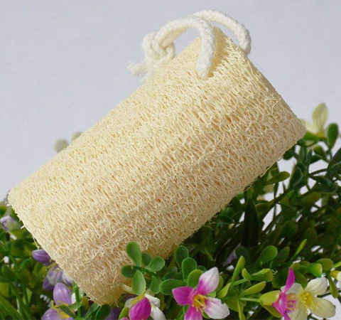 清熱化痰 絲瓜絡(luò)的功效與作用介紹