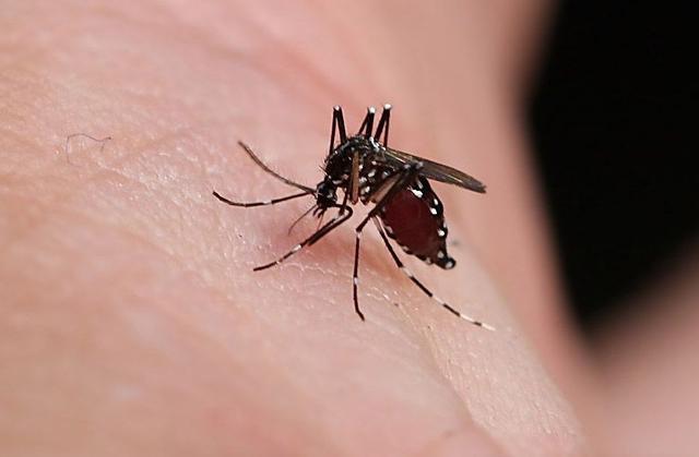 10個生活小竅門讓你的日子過的更輕松