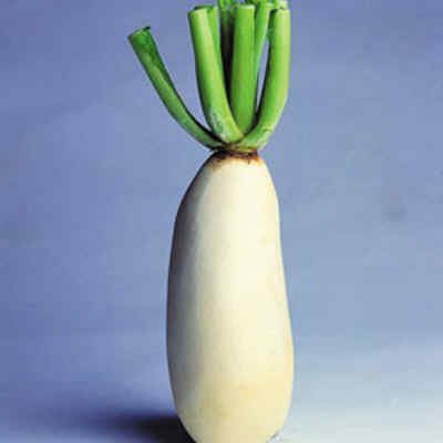 清肺潤(rùn)肺食療方法 你懂得多少