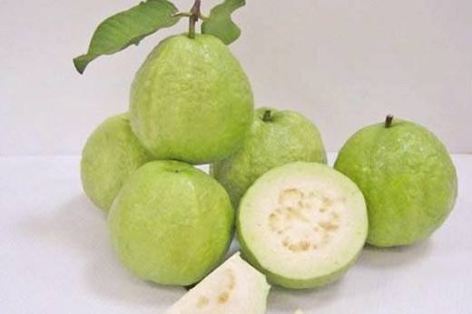 生活經(jīng)驗(yàn)講堂 番石榴的營(yíng)養(yǎng)價(jià)值