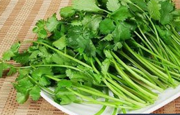 香菜怎么吃  香菜粉蒸土豆排骨